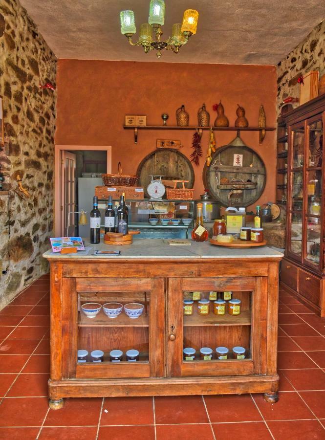 Quinta Do Barracao Da Vilarica Lodões Exteriör bild