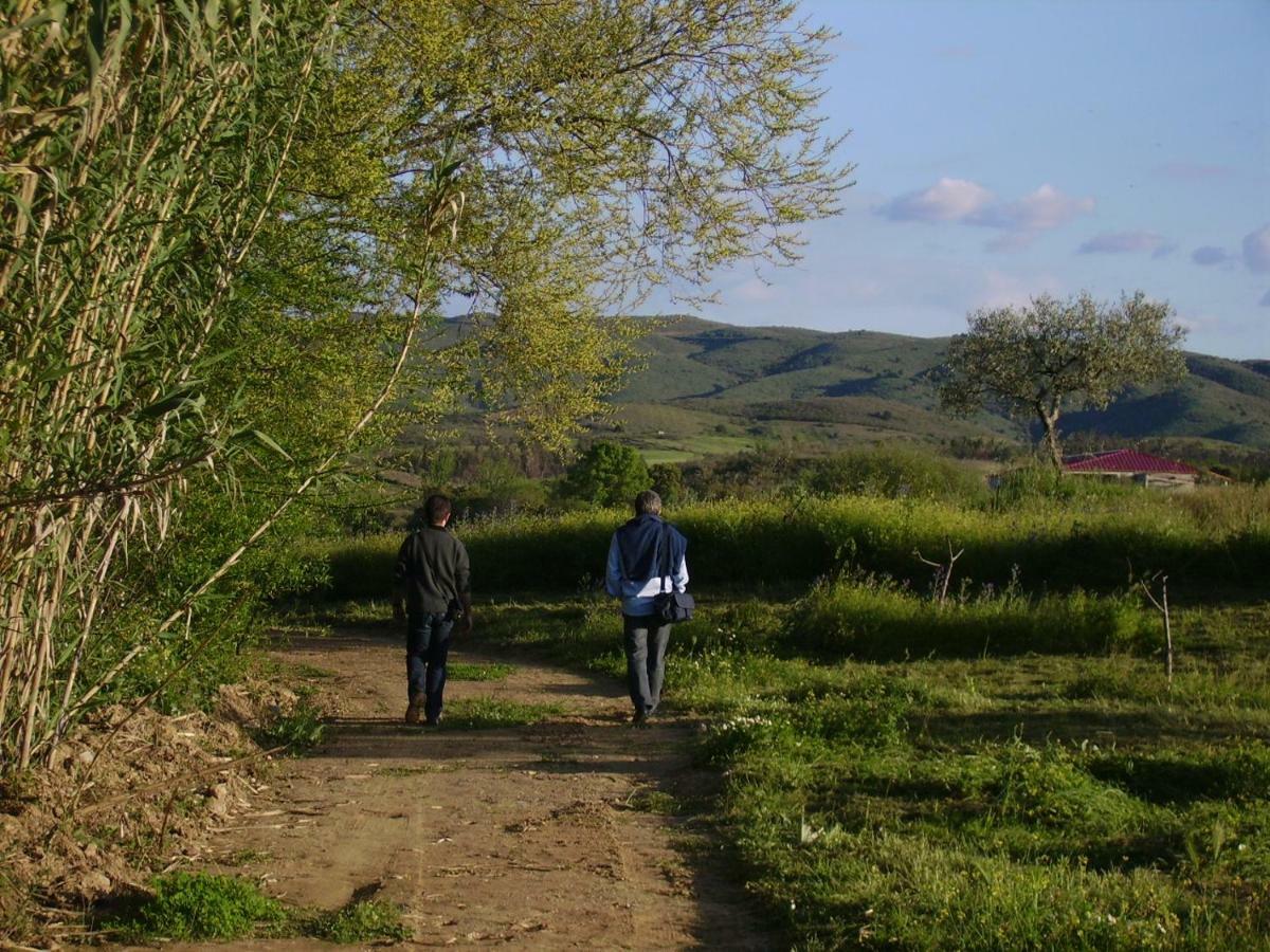 Quinta Do Barracao Da Vilarica Lodões Exteriör bild